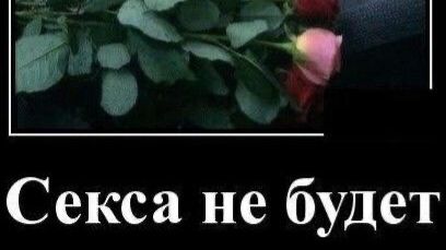 Вареный голубь