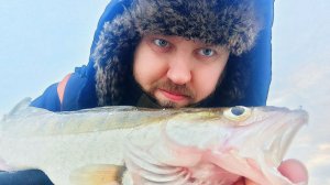 ЗИМНЯЯ РЫБАЛКА НА СУДАКА || Рыбалка на балансир #зинмяярыбалка #FishingHolidays #судак