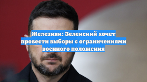 Железняк: Зеленский хочет провести выборы с ограничениями военного положения