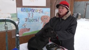 Ищу тебя, хозяин