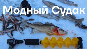 Модный Судак,Исеть 22.12.25.