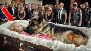 Собака Не Покидала Гроб Девочки, А Затем Байкеры Узнали Шокирующую Правду!