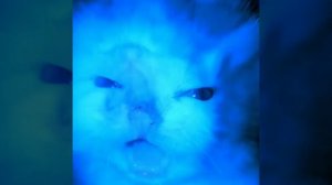 Любой мужик, когда пришло время покупать новые трусы🥲