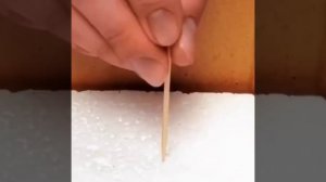 VID_20251224_071222_320.mp4