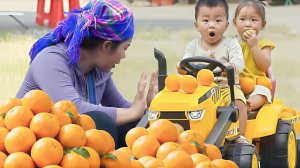 Собираем гигантские апельсины для продажи и готовлю питательную кашу для двоих детей. Дуонг. Вьетнам