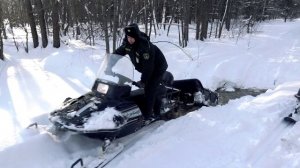 Минлесхоз_фильм_1_2024