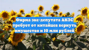 Фирма экс-депутата АКЗС требует от китайцев вернуть имущество и 10 млн рублей