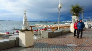 Сочи 24 декабря 😎Зацвела мимоза!На курорт надвигается гроза.Сочи прям сейчас, Сочи зимой,Сочи 2025