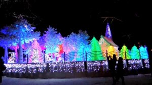 Сказочный лес в парке Сокольники