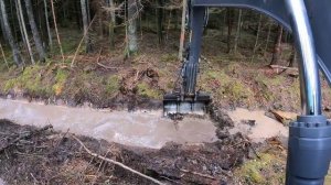 Уникальные Кадры из фильма "Работа в лесу" - часть 19