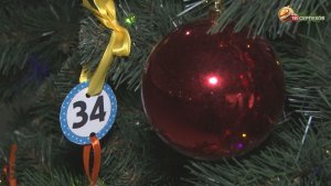 Новогодняя акция «Елка желаний» набирает обороты