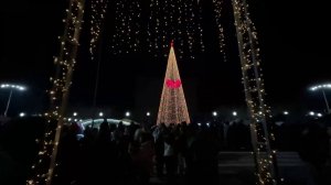 В Абхазии нарядили главную елку страны