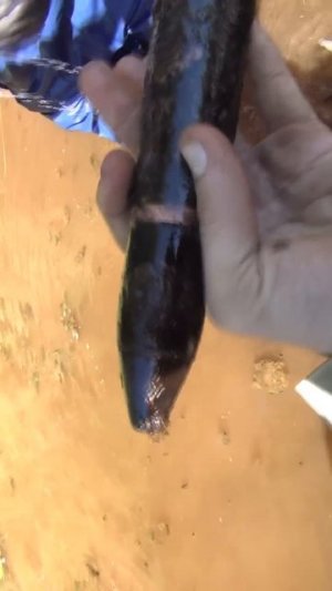 Опасные находки на глубине  раскопки  по войне #metaldetecting Юрий Гагарин