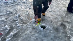 Онлайн.Основной водоём