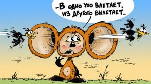 ДУРДОМ В ТАНКАХ