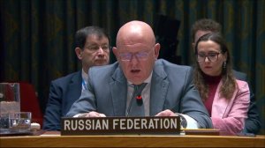 Выступление В.А.Небензи по порядку ведения заседания СБ ООН по иранской ядерной программе