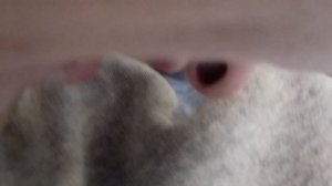 Изображение 053.mp4