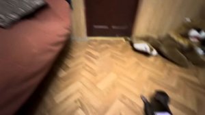 Анфиса не слушается и я на помощь привела Лорика, которого обезьянка опасается)))