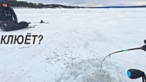 Ловля судака в декабре на вибы ПО РУСЛУ. Вася-поджопник. Зимняя рыбалка 2025