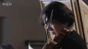 Bach - Sonata for violin and harpsichord no 5 in F minor BWV 1018