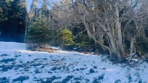 Красота региона, в которой мы производим косметику, безгранична.