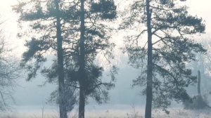 24 декабря - Ошибка, которая украдёт ваш покой.