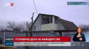 Уголовное дело за живодерство