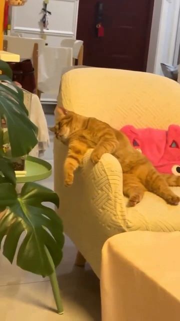 Не выключай, я смотрю