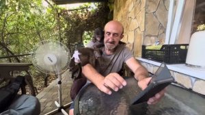 Как Влад смотрит новости? Его невозмутимости можно только позавидовать когда рядом Финик и Анфиса)))