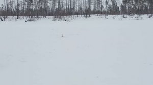 Щука трофей окунь норм рыбалка на озере на льду