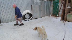 Жизнь в деревне 🏡 // получила посылку 🎁🔥// проведали маму🤗 //