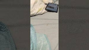 выполняем задания от подписчиков