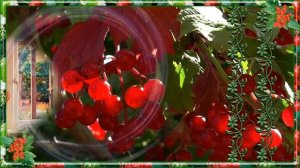 ГОРИТ КАЛИНЫ ЦВЕТ