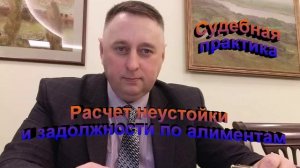 Судебная практика. Расчет неустойки и задолженности по алиментам