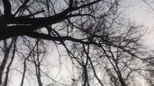 24 декабря прогноз погоды от волшебника 🧙 из Москвы