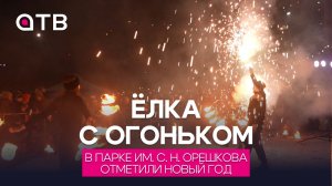 Ёлка с огоньком. В парке им. Орешкова отметили Новый год