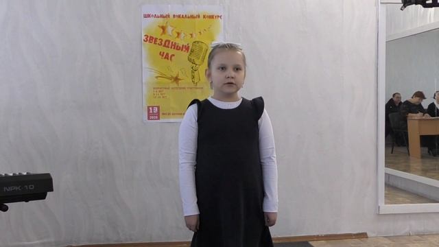 Светлана Митренко