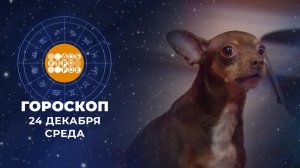 Гороскоп на 24 декабря для всех знаков зодиака