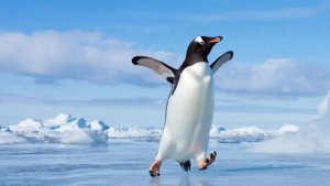 ИИ АНИМАЦИЯ