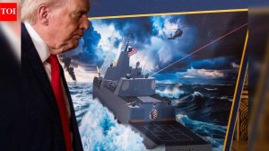 Знакомьтесь: моя кошка