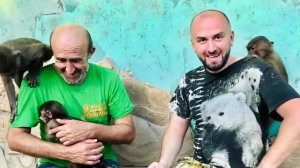 Мы пришли к Степиной компании с Анфисой и началась обезьянья круговерть)))