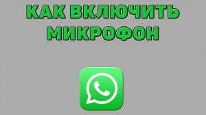 Как включить микрофон в Ватсапе