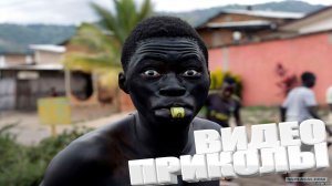 подборка приколов до слëз | смешные видео | лучшие приколы, юмор