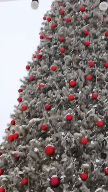 С наступающим новым годом! #новыйгод #елка смотреть онлайн