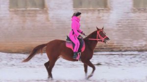 Символ 2026 года. Агрокурьер