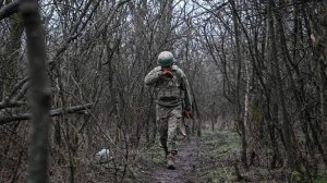 В МИД РФ рассказали о попытках Лондона подорвать усилия РФ и США по урегулированию на Украине