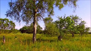 Здесь заканчивается деревня