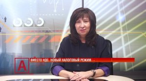 Ольга Напалкова: «Ввод автоупрощенки — это вроде и праздник, но есть нюансы»