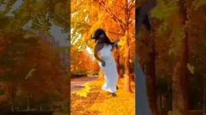 Бабье лето виновато