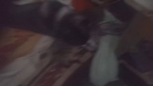 MelomanicaTV : Сергей РАzoom Фокин в фильме Николая Клименко Матюги с молитвами - 44. 2024 год.